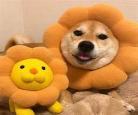 有没有可爱的q版卡通人物